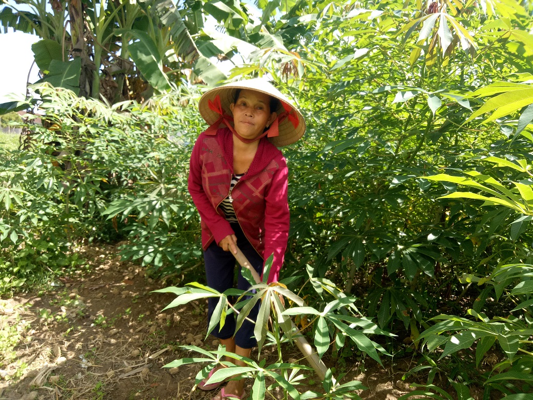 Cô giáo Ê đê yêu nghề làm kinh tế giỏi